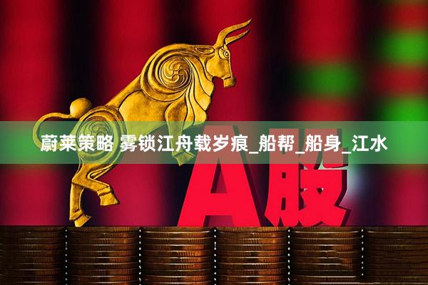 蔚莱策略 雾锁江舟载岁痕_船帮_船身_江水