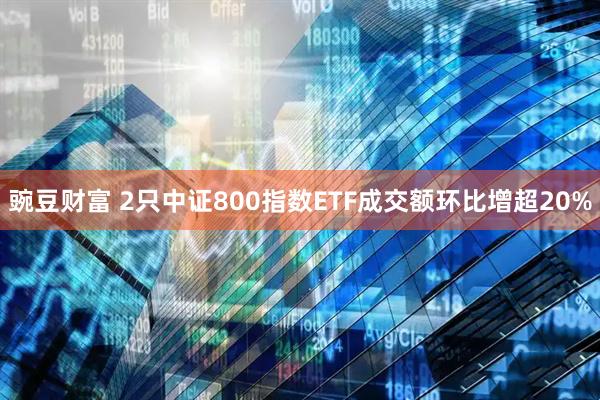 豌豆财富 2只中证800指数ETF成交额环比增超20%