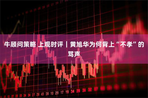 牛顾问策略 上观时评｜黄旭华为何背上“不孝”的骂声